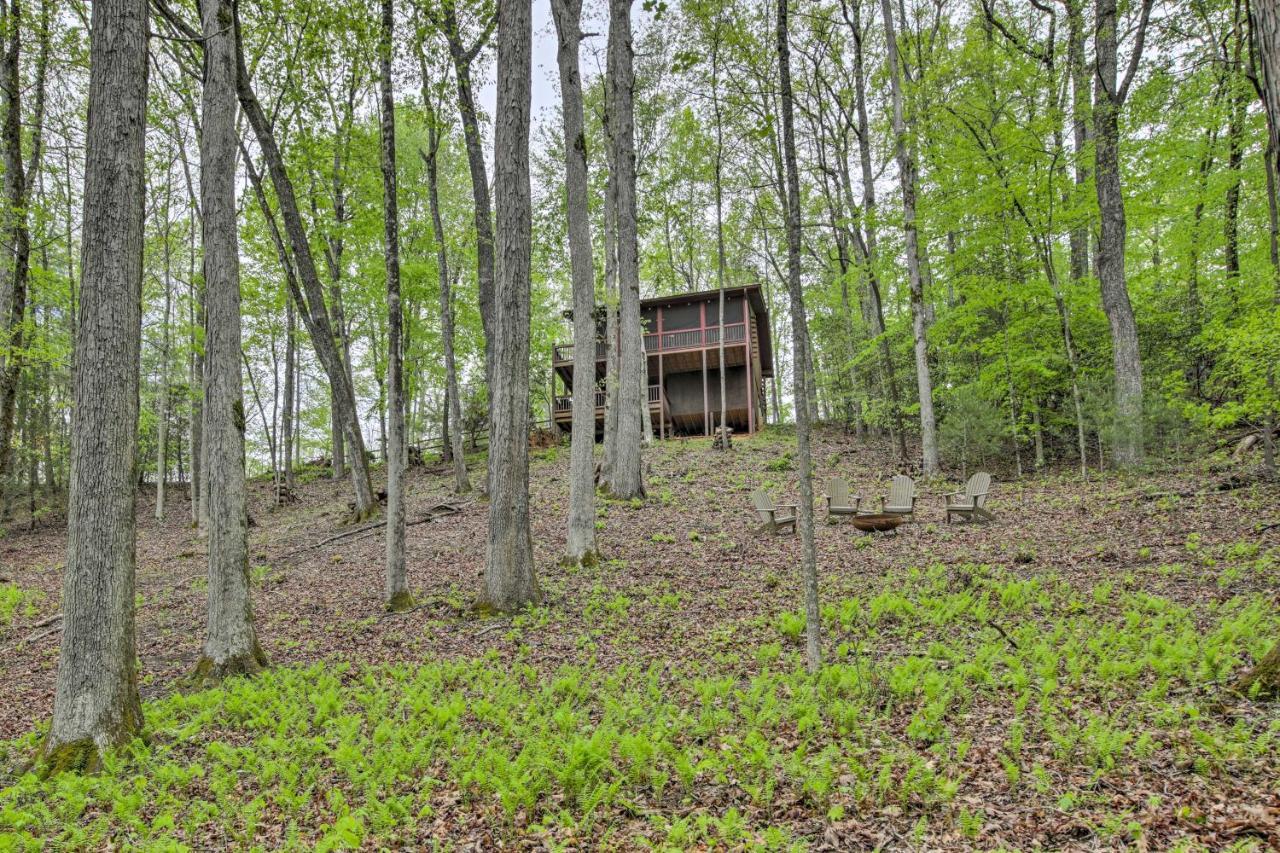 Peaceful With Decks And Fire Pit Holiday home Blue Ridge