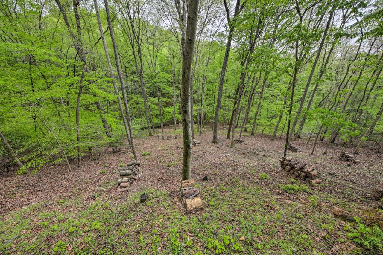 Peaceful With Decks And Fire Pit Blue Ridge